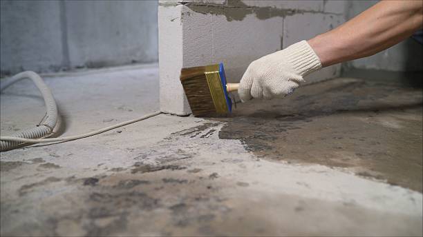 SJ Waterproofing Pros Waterproofing coverage map for Ray, OH and surrounding area